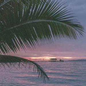 免费看裸体🔞🔞🔞豆花
